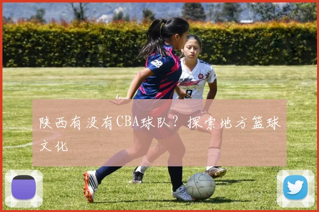 陕西有没有CBA球队？探索地方篮球文化